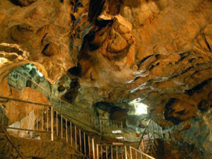 �s�񓴂̓���