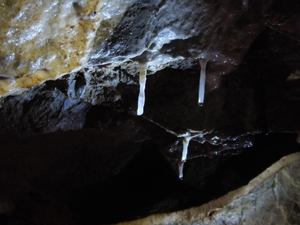 �s�񓴓��̏ߓ���