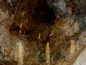 �s�񓴂̓���