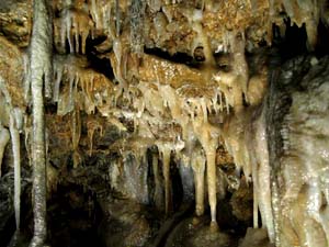 �s�񓴓��̏ߓ���