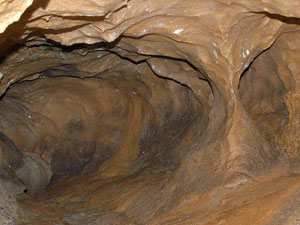 �s�񓴓���