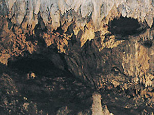 �s�񓴓���