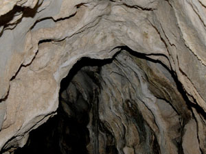 �s�񓴓���