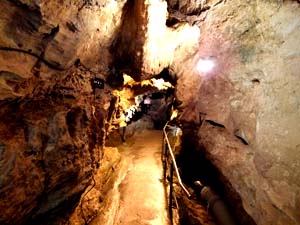 �s�񓴓���