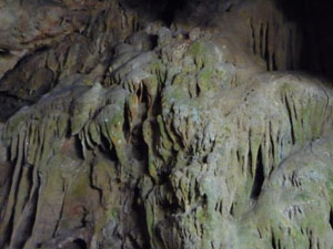 �s�񓴓���