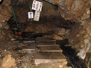 �s�񓴓���