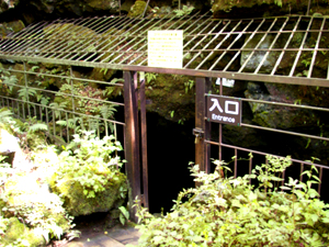 �s�񓴂̓���