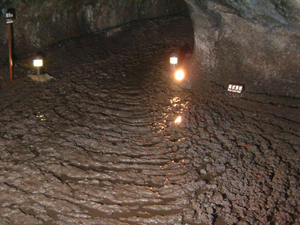 �s�񓴓���